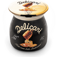 Delicari - Iogurte com Mel 170g