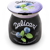 Delicari - Iogurte de Blueburry 170g
