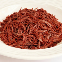 Protein BAG RED - Carne Seca Desfiada - 120g