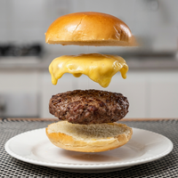 KIT Chef's Burguer 160g + Queijo Prato + Pão de Brioche