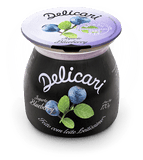 Delicari - Iogurte de Blueburry  170g