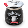 Delicari - Iogurte Natural Grego Zero Lactose 170g