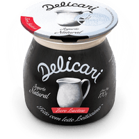 Delicari - Iogurte Natural Grego Zero Lactose 170g